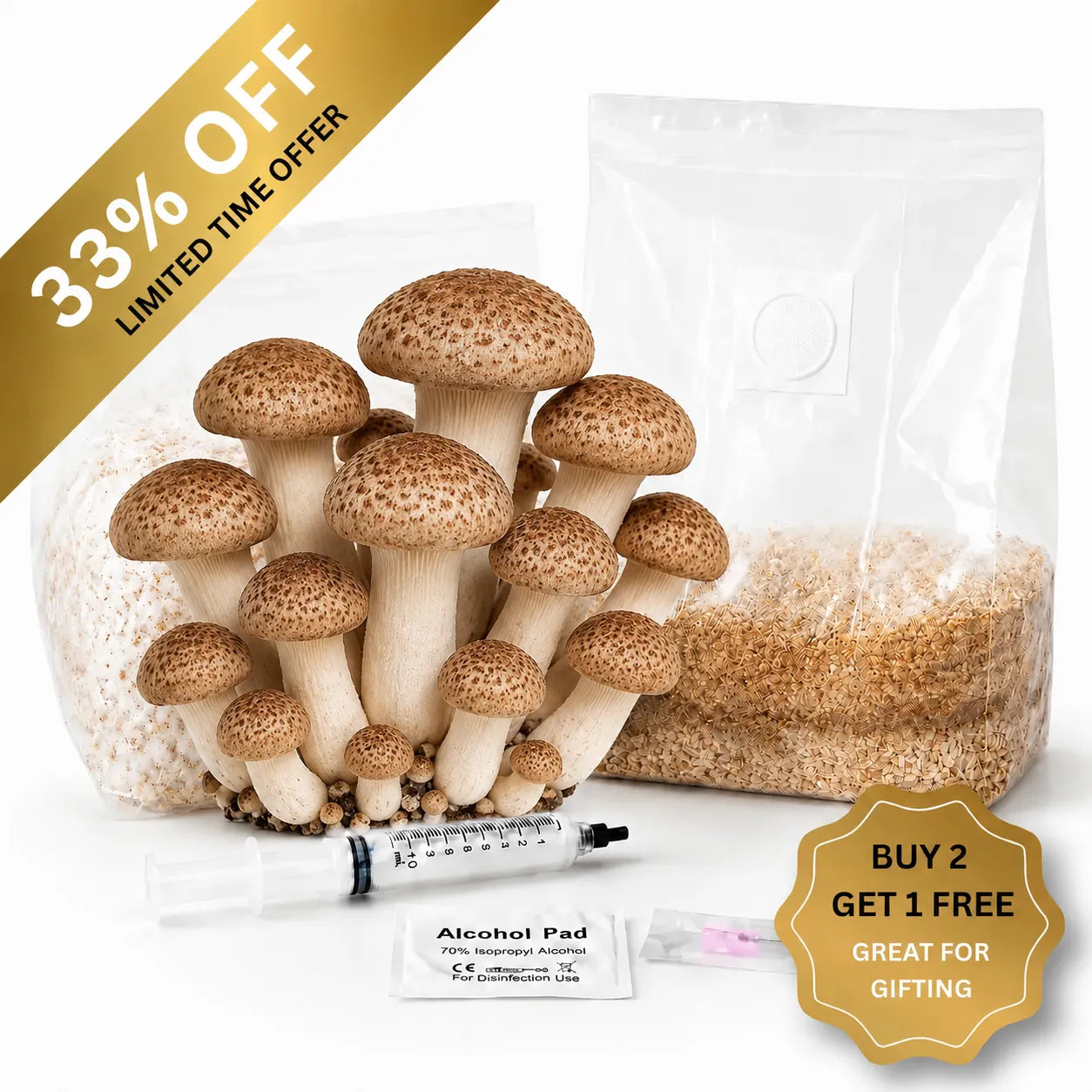 Everything you need to grow your own Speckled Chestnut mushrooms in as little as 4 weeks.