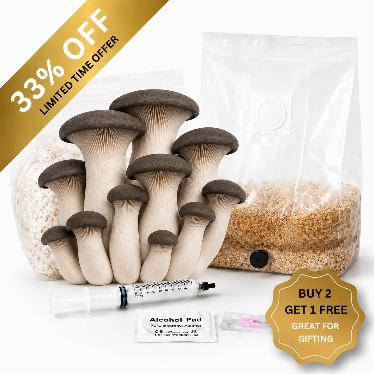 Everything you need to grow your own Black Pearl King Oyster mushrooms in as little as 4 weeks.