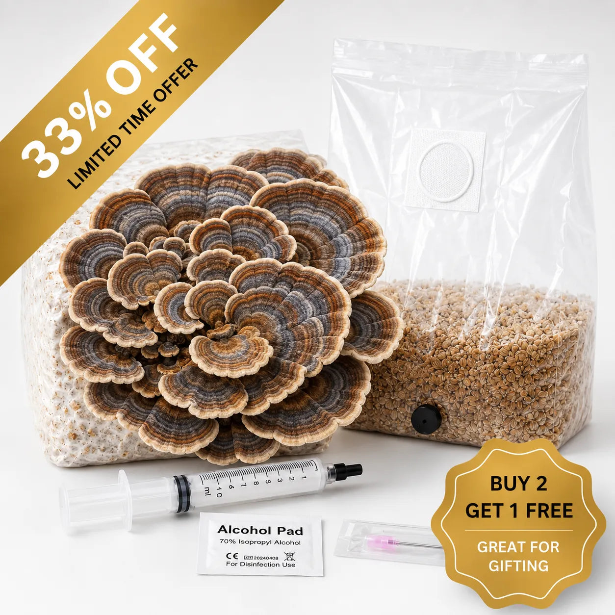 Everything you need to grow your own Turkey Tail mushrooms in as little as 4 weeks.