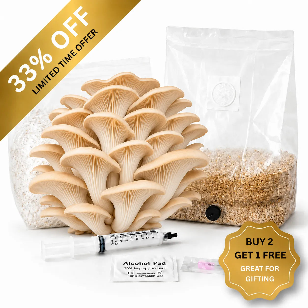 Everything you need to grow your own Phoenix Oyster mushrooms in as little as 4 weeks.
