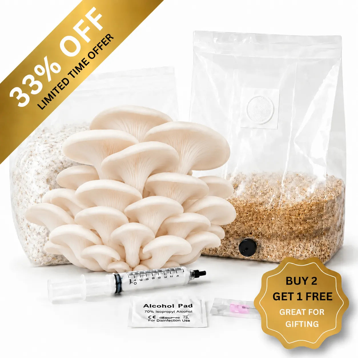 Everything you need to grow your own Princess Pearl Oyster mushrooms in as little as 4 weeks.