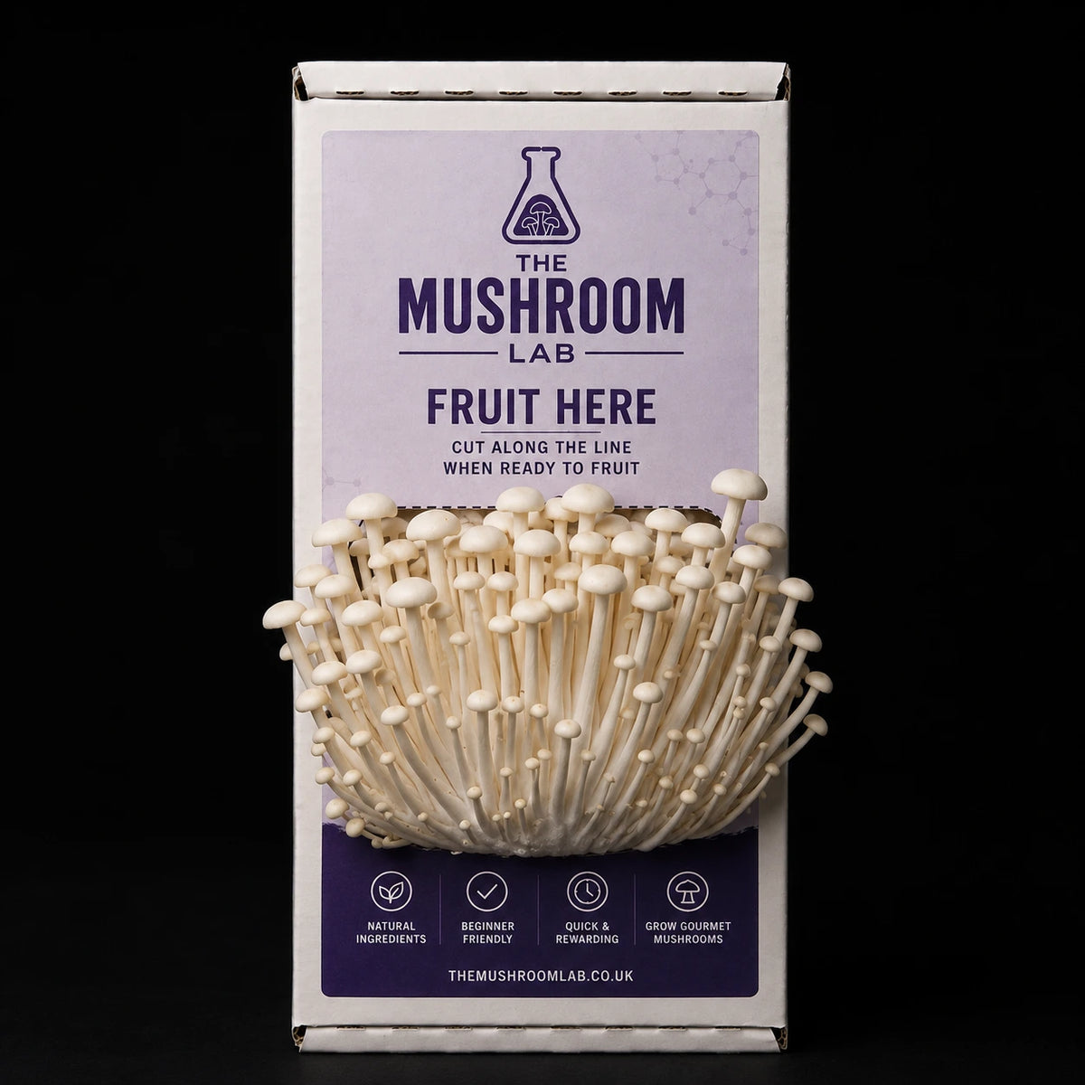 Everything you need to grow your own Enoki mushrooms in as little as 4 weeks.