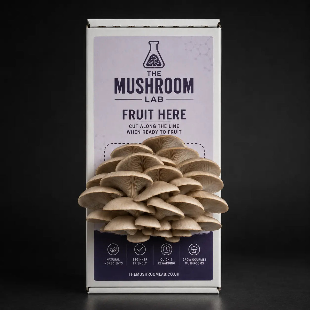 Everything you need to grow your own Princess Pearl Oyster mushrooms in as little as 4 weeks.