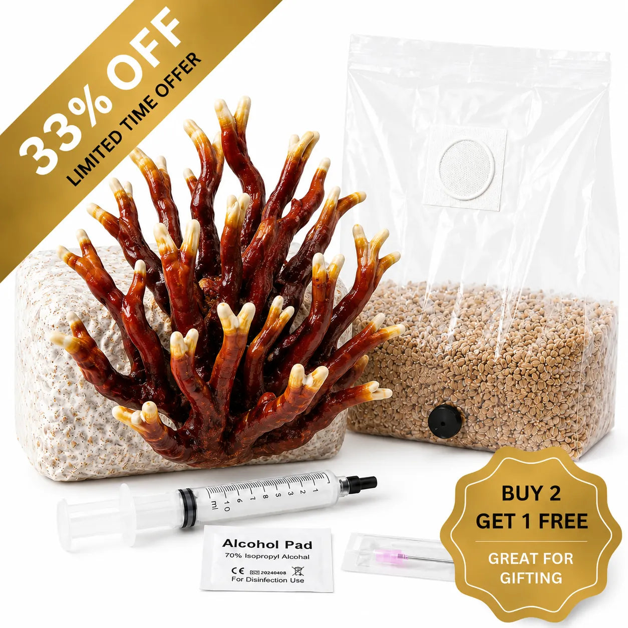Everything you need to grow your own Antler Reishi mushrooms in as little as 4 weeks.