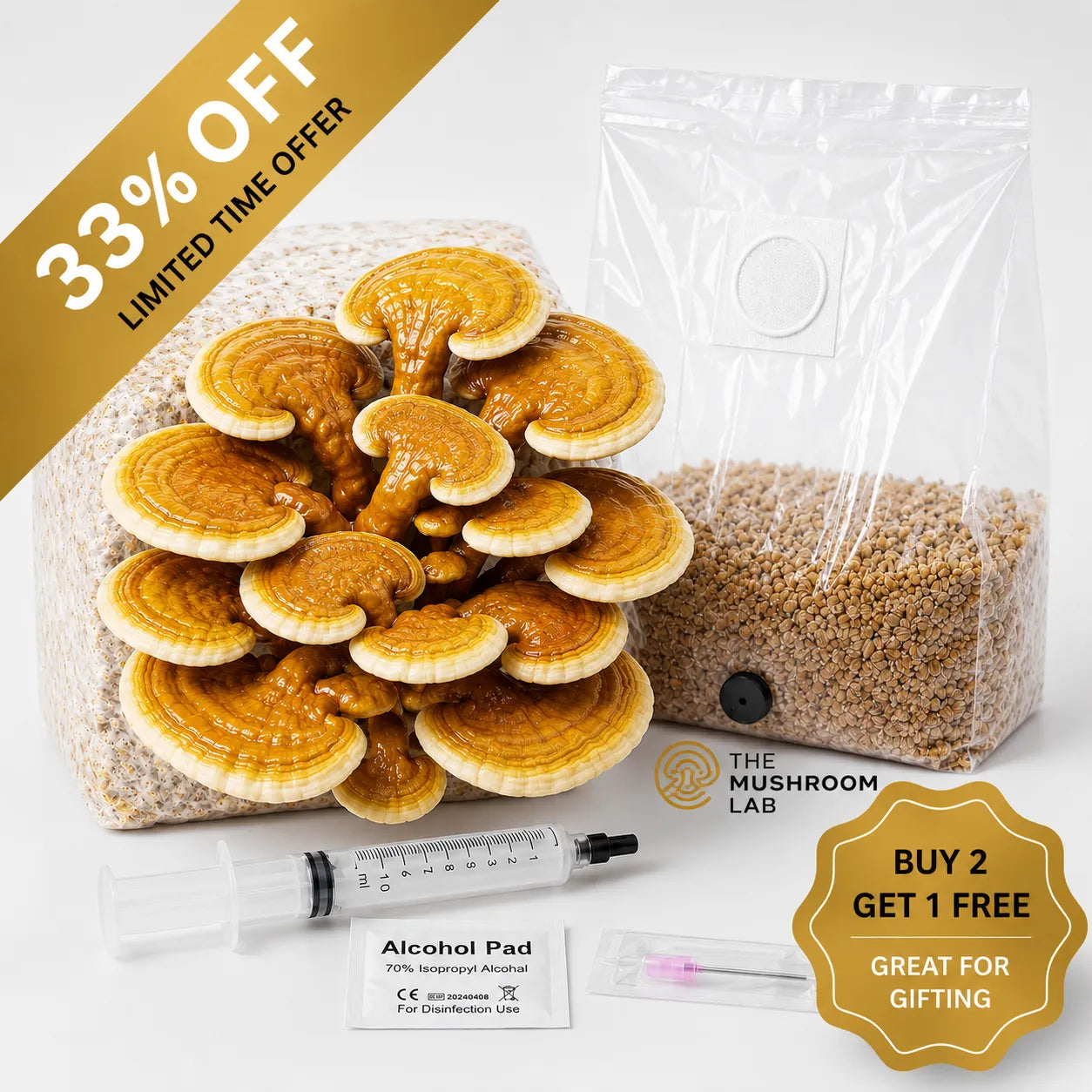 Everything you need to grow your own Golden Reishi mushrooms in as little as 4 weeks.