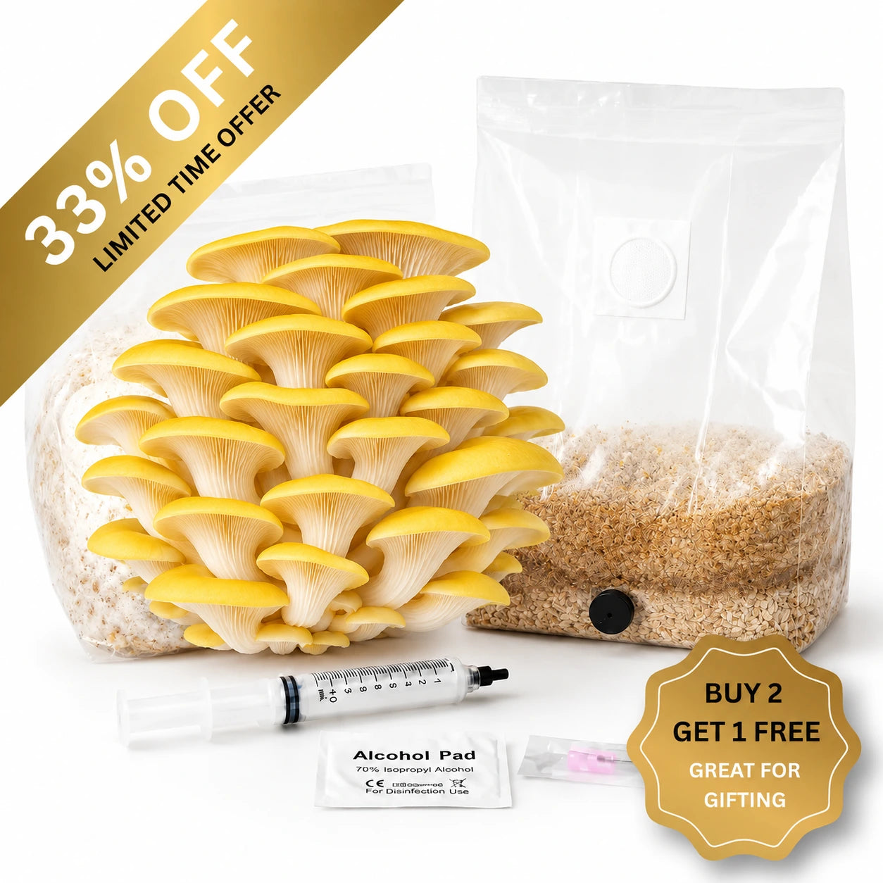 Everything you need to grow your own Golden Oyster mushrooms in as little as 4 weeks.