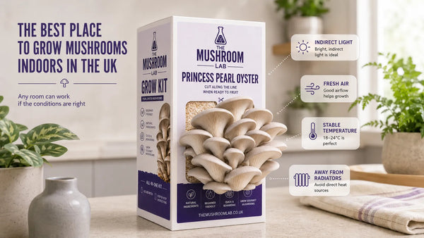 Best Place to Grow Mushrooms Indoors: UK Room-by-Room Guide