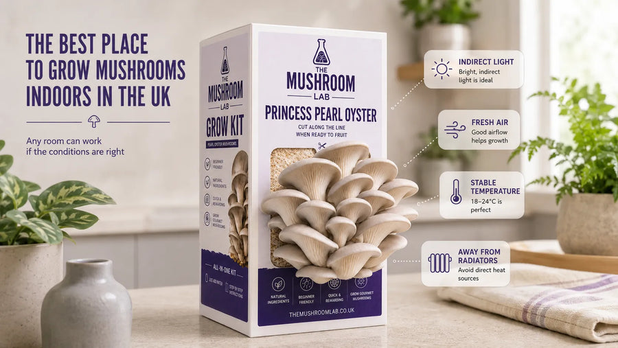 Best Place to Grow Mushrooms Indoors: UK Room-by-Room Guide