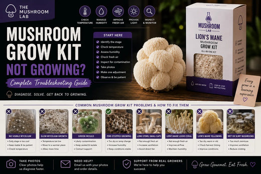 Mushroom Grow Kit Not Growing? Complete Troubleshooting Guide