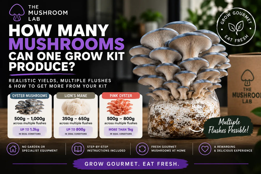 How Many Mushrooms Can You Grow from One Mushroom Grow Kit?