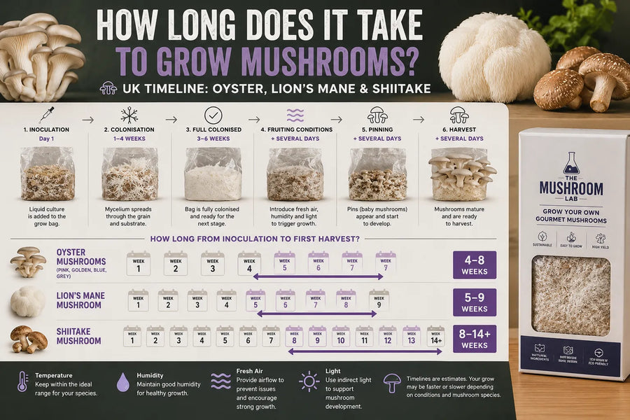 Mushroom growing timeline showing inoculation, colonisation, fruiting, pinning and harvest stages, with estimated growing times for Oyster, Lion’s Mane and Shiitake mushrooms.