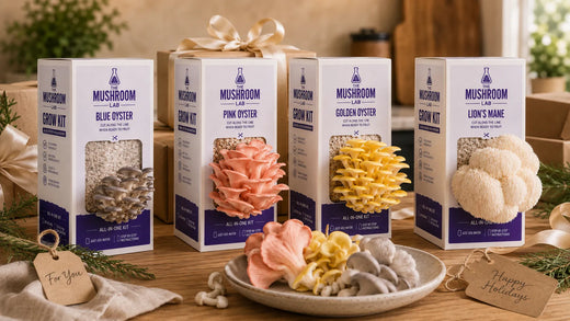 Best Mushroom Grow Kits for Gifts: UK Birthday and Christmas Guide