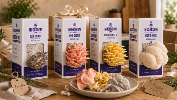 Best Mushroom Grow Kits for Gifts: UK Birthday and Christmas Guide
