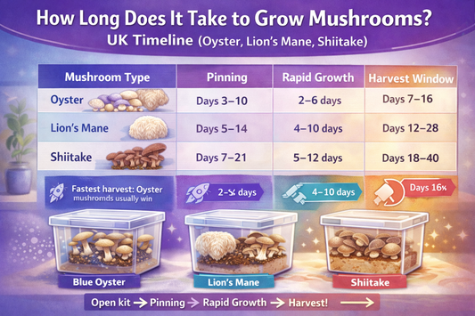 How Long Does It Take to Grow Mushrooms? UK Timeline (Oyster, Lion’s Mane, Shiitake)
