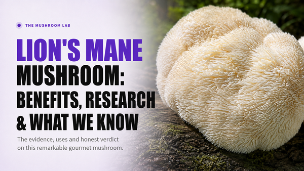 Lion’s Mane Mushroom: Nutrition, Cultivation & What Scientists Are Studying
