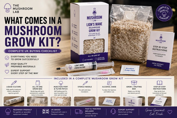 What Comes in a Mushroom Grow Kit? Complete UK Buying Checklist