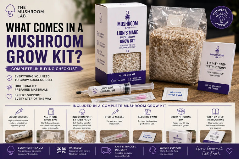 What Comes in a Mushroom Grow Kit? Complete UK Buying Checklist