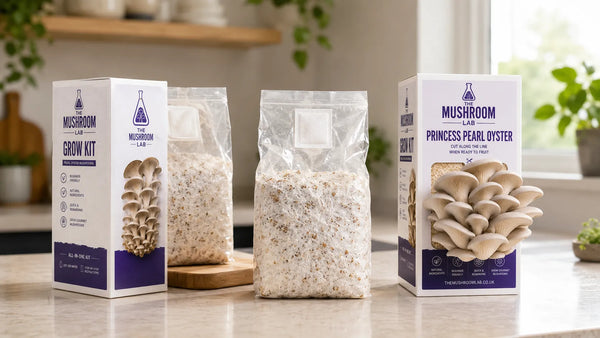 Mushroom Grow Kit UK Buyer’s Guide: Complete, All-in-One or Ready-to-Fruit?