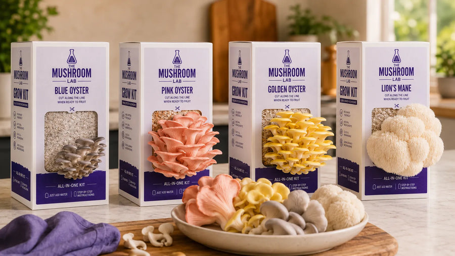 Are Mushroom Grow Kits Worth It? Cost, Yield and Value Explained