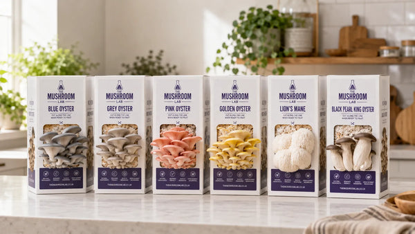 Best Mushroom Grow Kits UK: Which Species Should You Choose?