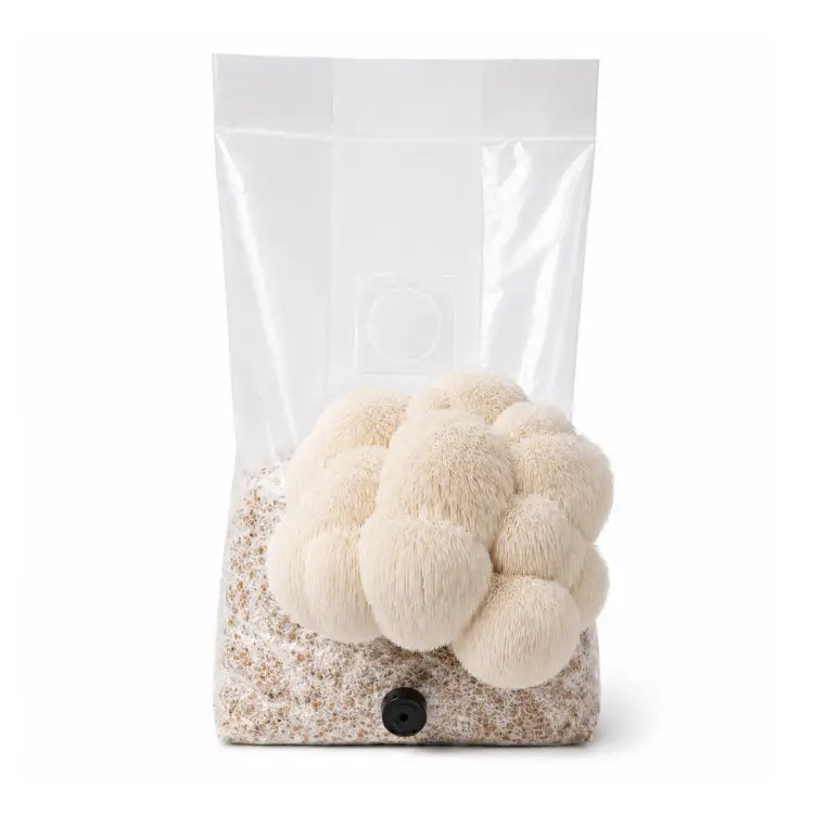 Fruit and harvest mushrooms at home