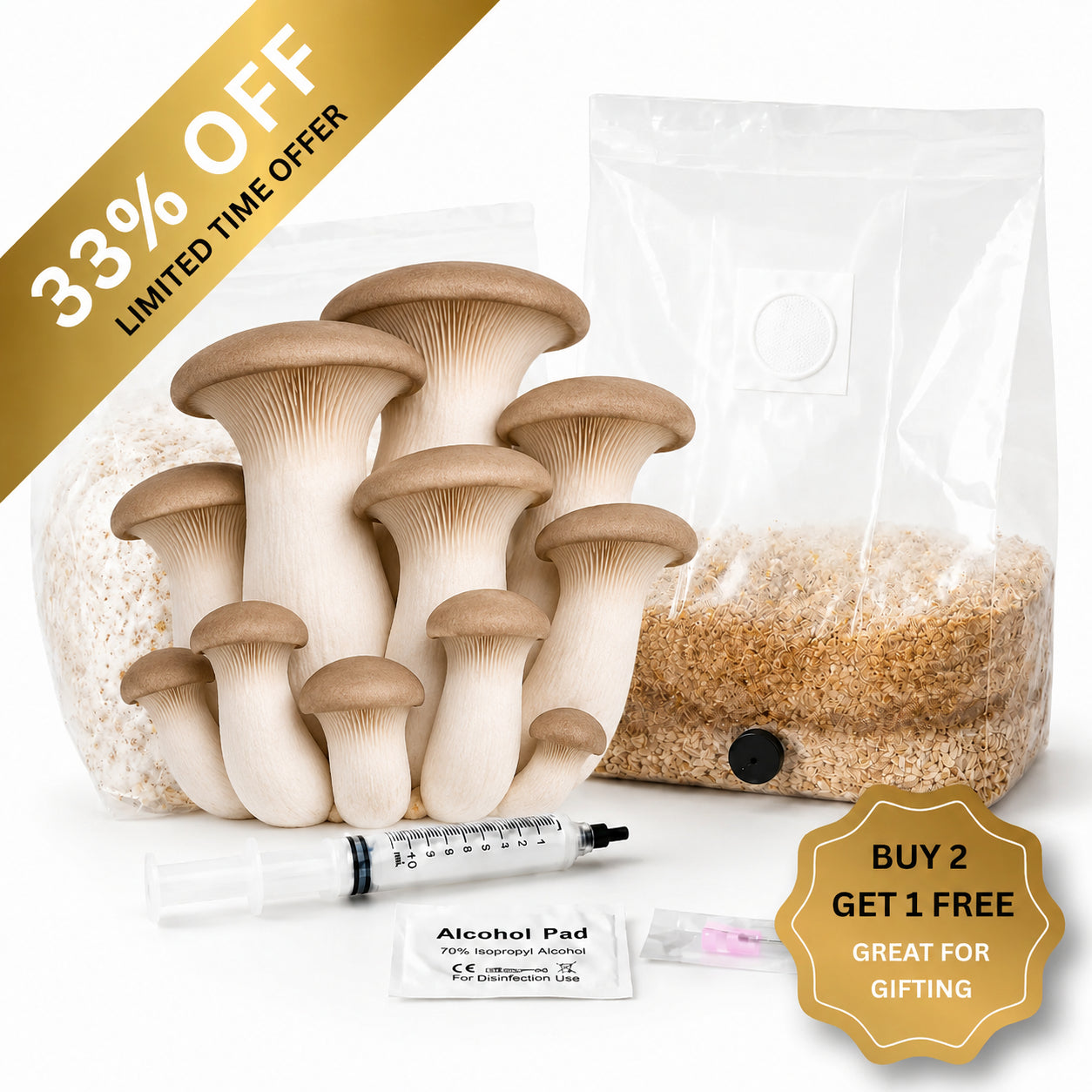 Everything you need to grow your own King Oyster mushrooms in as little as 4 weeks.