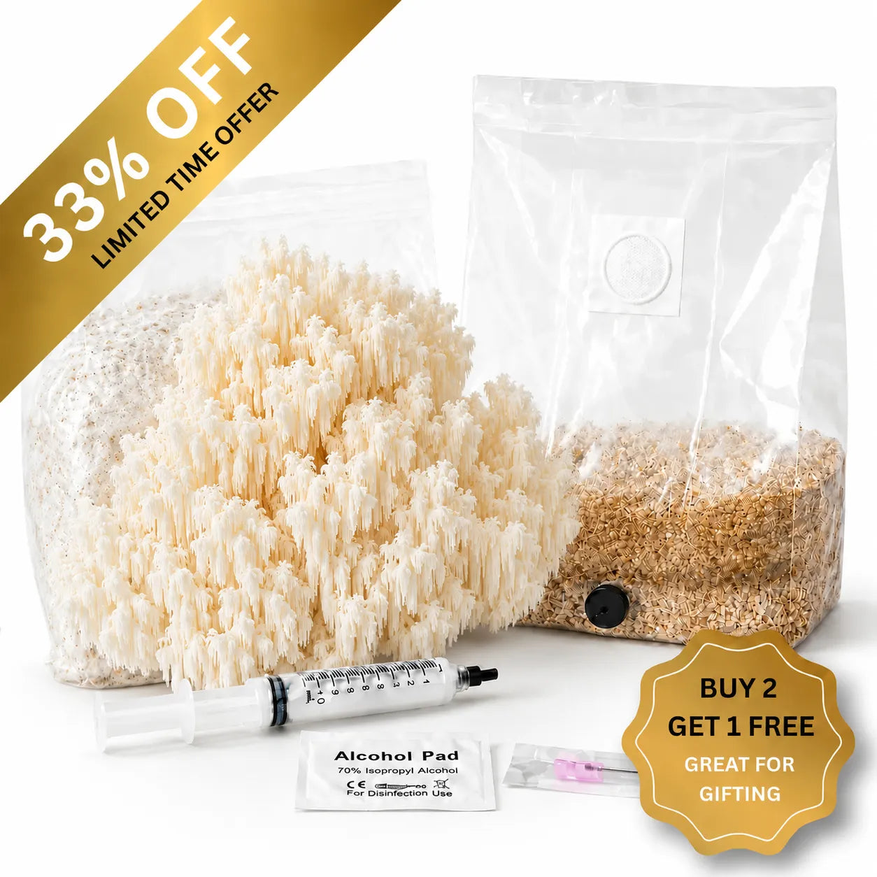 Everything you need to grow your own Bolle's Bear's mushrooms in as little as 4 weeks.
