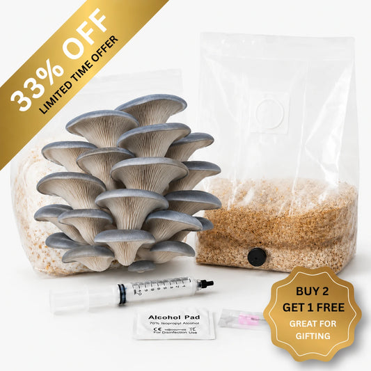 Everything you need to grow your own Blue Oyster mushrooms in as little as 4 weeks.