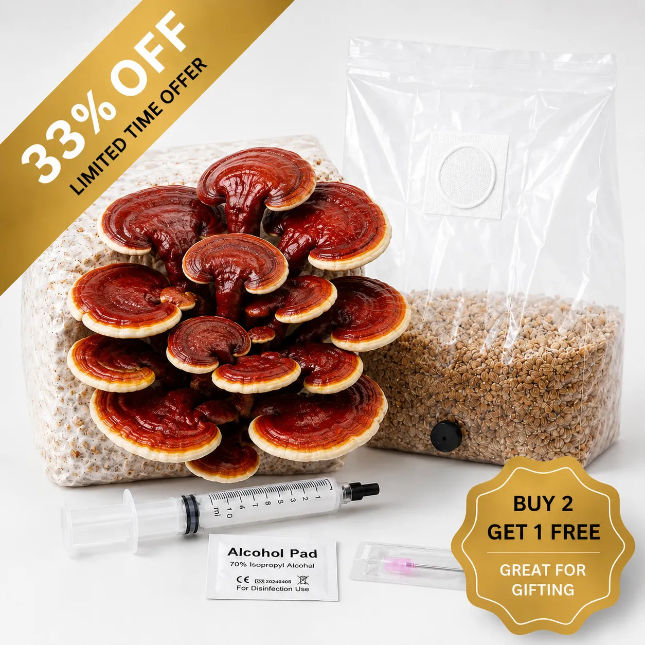 Everything you need to grow your own Red Reishi mushrooms in as little as 4 weeks.