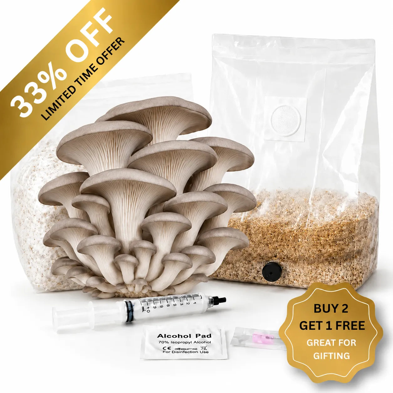 Everything you need to grow your own Grey Oyster mushrooms in as little as 4 weeks.