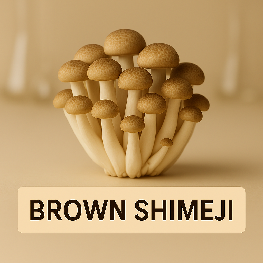 Brown Shimeji (Hypsizygus tessellatus — Buna-shimeji)