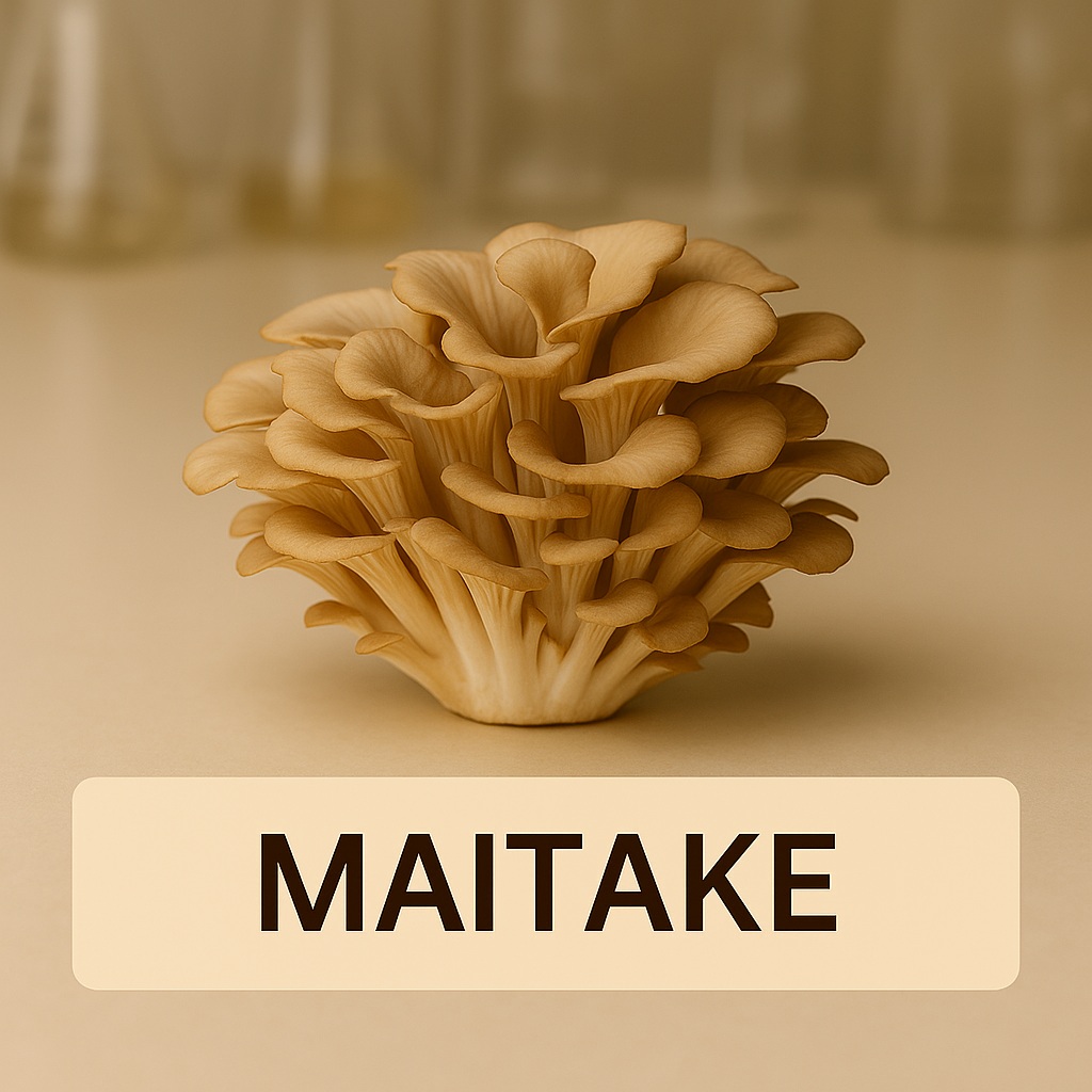 Maitake (Grifola frondosa)