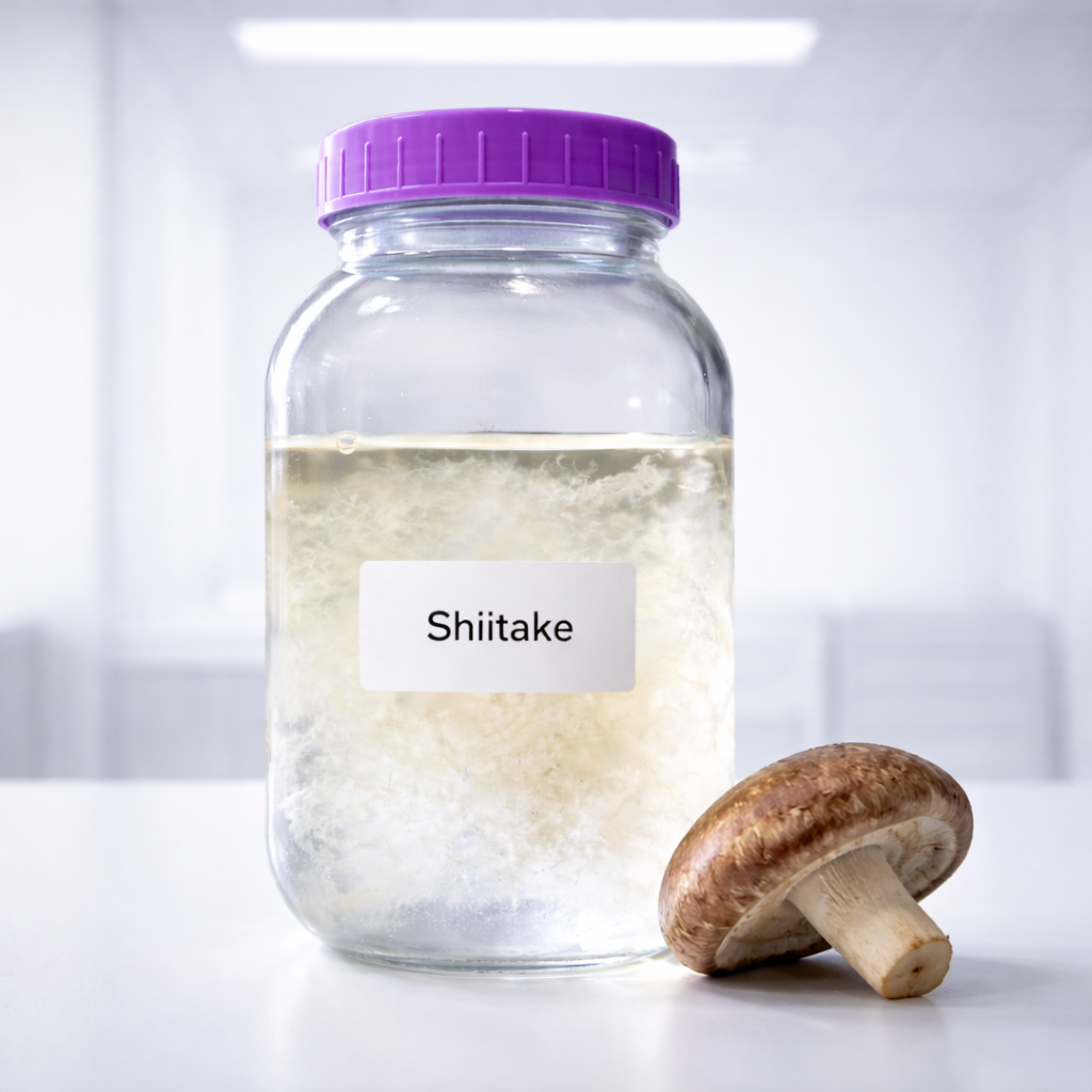 Shiitake Liquid Culture Syringe, Lentinula edodes