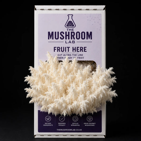 Everything you need to grow your own Coral Tooth mushrooms in as little as 4 weeks.
