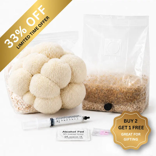 Everything you need to grow your own Lion’s Mane mushrooms in as little as 4 weeks.