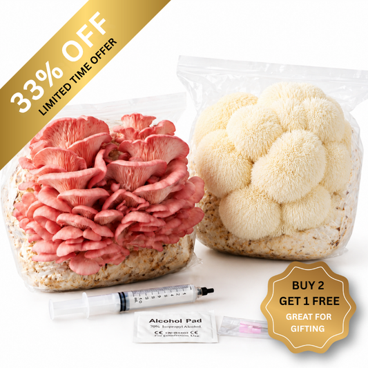Grow Fresh Gourmet Mushrooms at Home In 4 Weeks – No Experience Needed - Select Your Species