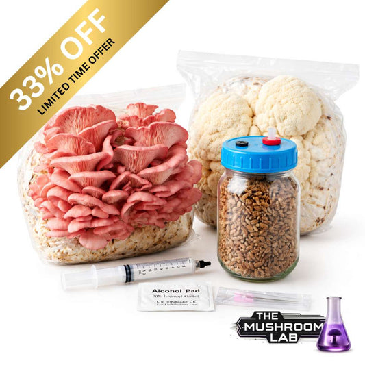 Grow Fresh Gourmet Mushrooms at Home – No Experience Needed
