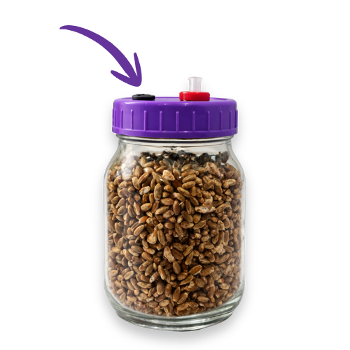 Complete Grow Kit: Rye, Master’s Mix & 10ml Liquid Culture