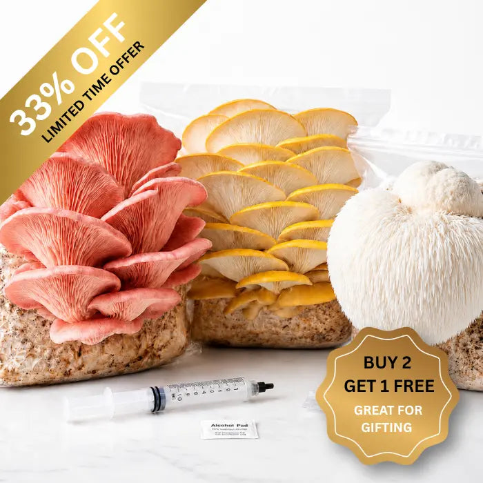 Grow Your Own Gourmet Mushroom Kits at Home