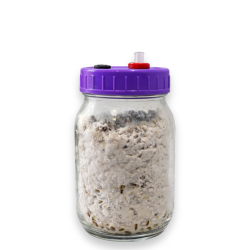 Complete Grow Kit: Rye, Master’s Mix & 10ml Liquid Culture