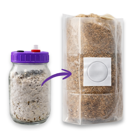 Complete Grow Kit: Rye, Master’s Mix & 10ml Liquid Culture