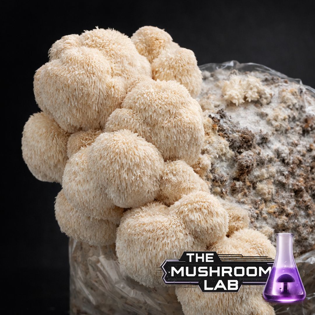 Complete Grow Kit: Rye, Master’s Mix & 10ml Liquid Culture