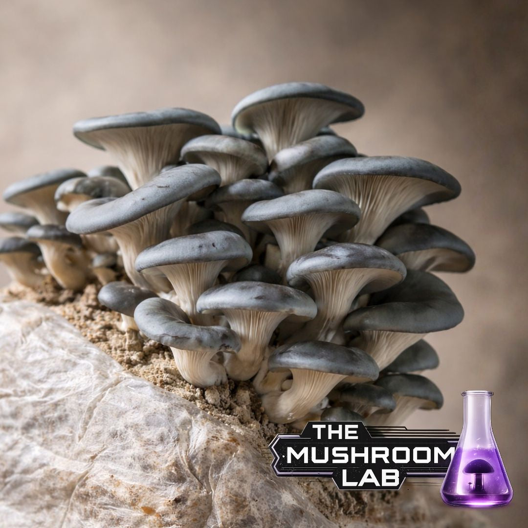 Complete Grow Kit: Rye, Master’s Mix & 10ml Liquid Culture