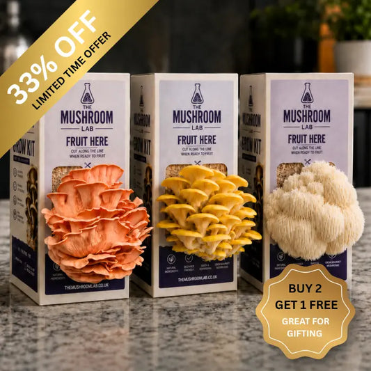 Grow Your Own Gourmet Mushroom Kits at Home
