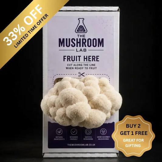Everything you need to grow your own Lion’s Mane mushrooms in as little as 4 weeks.