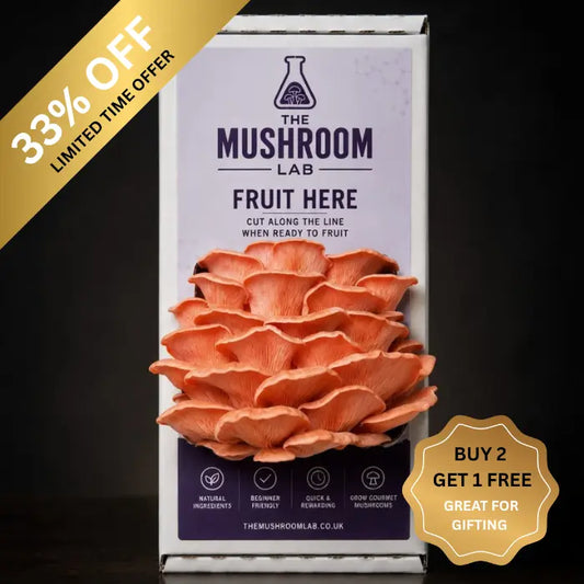 Everything you need to grow your own Pink Oyster mushrooms in as little as 4 weeks.