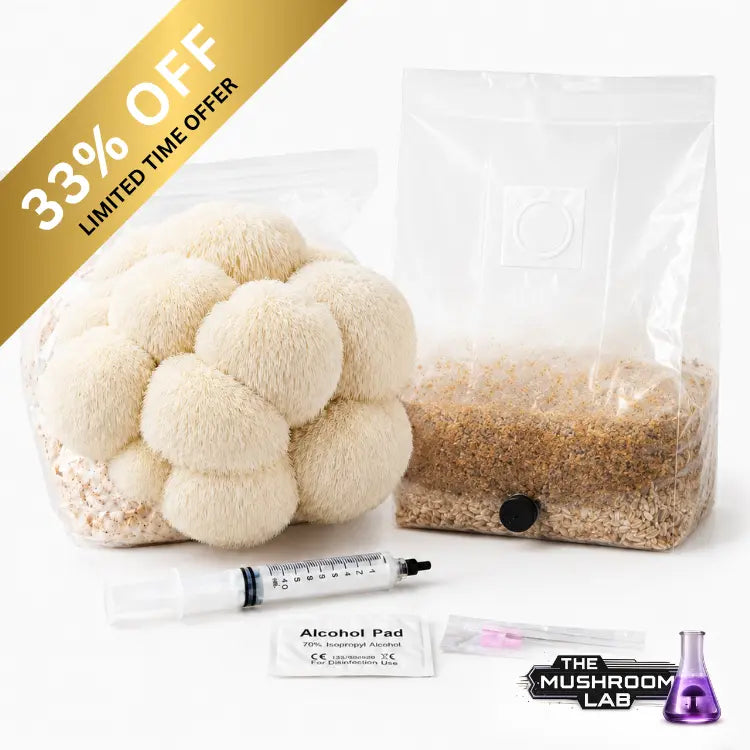 Everything you need to grow your own Lion’s Mane mushrooms in as little as 4 weeks.