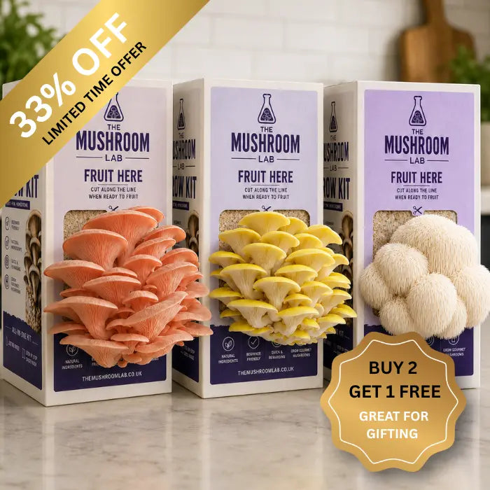 Grow Your Own Gourmet Mushroom Kits at Home