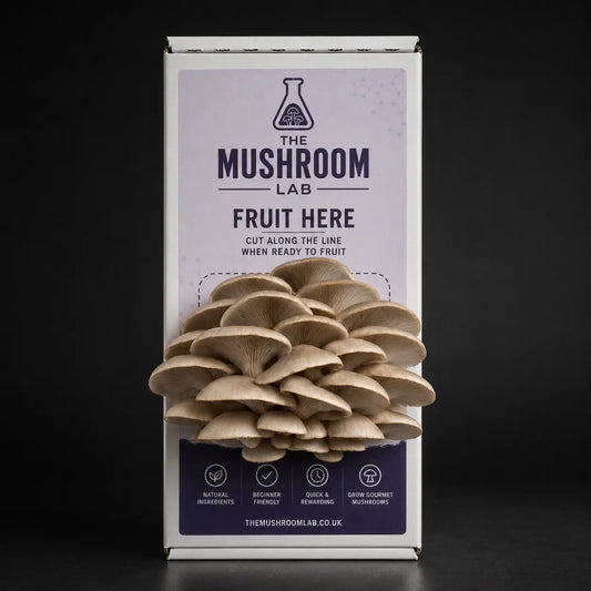 Everything you need to grow your own Princess Pearl Oyster mushrooms in as little as 4 weeks.