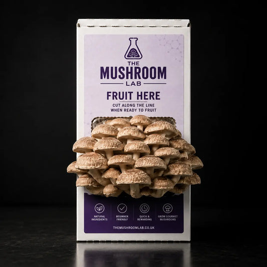 Everything you need to grow your own Shiitake mushrooms in as little as 4 weeks.